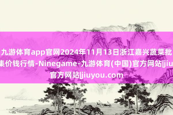 九游体育app官网2024年11月13日浙江嘉兴蔬菜批发交往市集价钱行情-Ninegame-九游体育(中国)官方网站|jiuyou.com